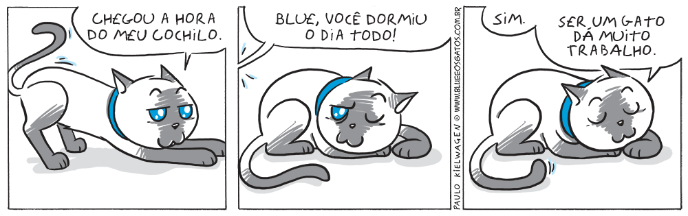 Tira Blue