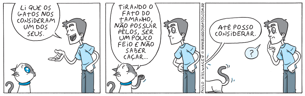 Tira em quadrinhos do Blue. Dizem que os gatos consideram os donos com um dos seus. Apesar de todas as diferenças, até que o Blue considera.