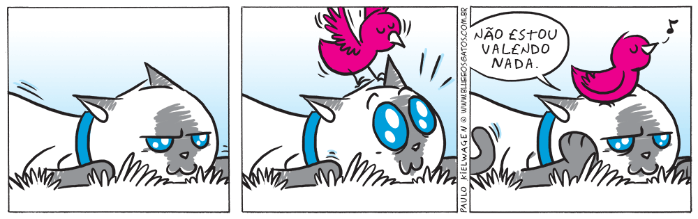 Tira em quadrinhos do Blue. Apresentando o gatinho Toni, recem adotado da família Blue e o s Gatos.