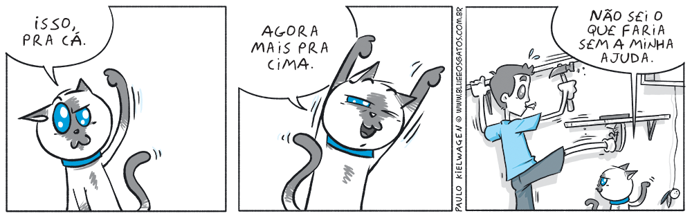 Tira em quadrinhos do Blue. Uma bela ajuda que o Blue acha que está dando na construção de uma estação de brincar dos gatos.