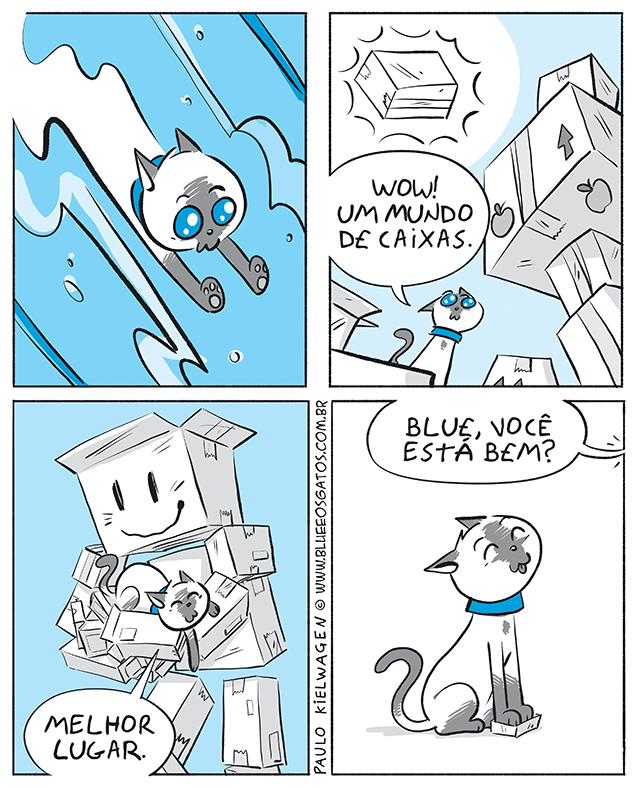 Blue encanta-se com um mundo de caixas segura um gato. Blue parece feliz e curioso.