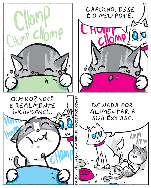 Capucho e Branco discutem sobre o pote de comida. Capucho parece satisfeito enquanto Branco observa. Humor e amizade entre os gatos.