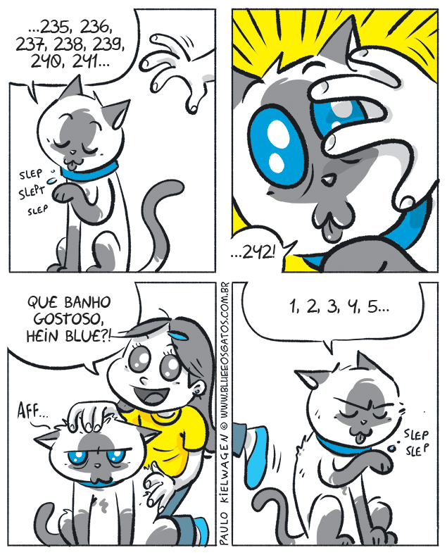 Blue que está tomando seu banho e contando suas lambidas para o banho ideal, Alice feliz atrapalha sua contagem